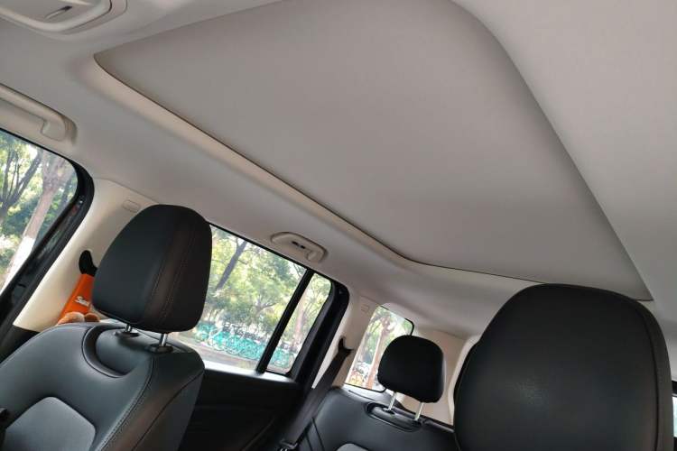 Used Haval Raptor New Energy 2024 Hi4 102 Pro Headliner