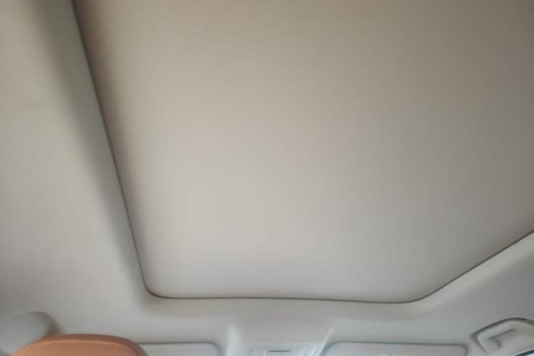 Used Haval Raptor New Energy 2024 Hi4 145 Pro Headliner