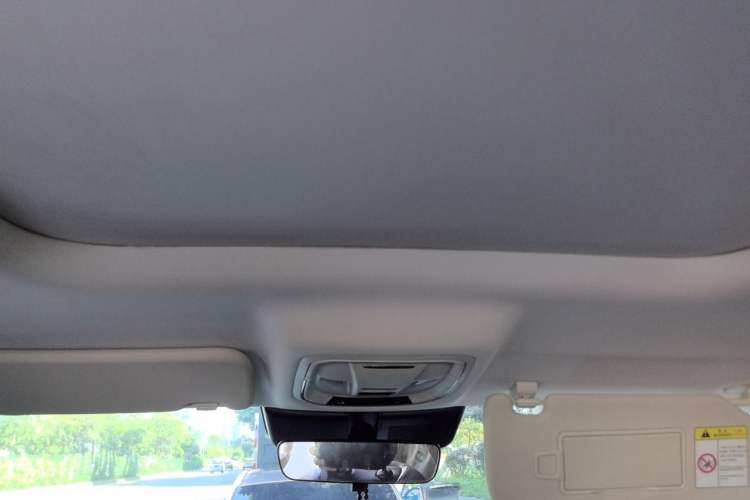 Used Haval Raptor New Energy 2024 Hi4 145 Pro Headliner