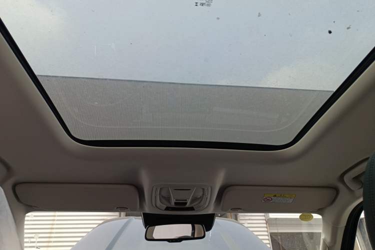 Used Haval Raptor New Energy 2024 Hi4 145 Cross-Over Edition Headliner