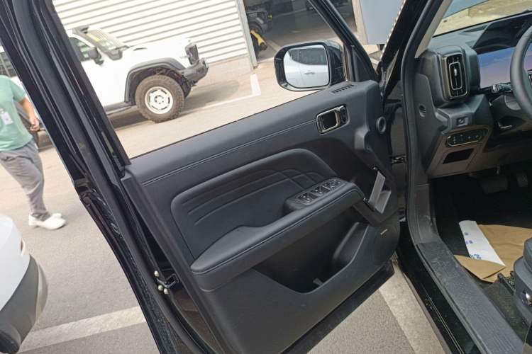 Used Haval Raptor New Energy 2024 Hi4 145 Cross-Over Edition Left Front Door Interior