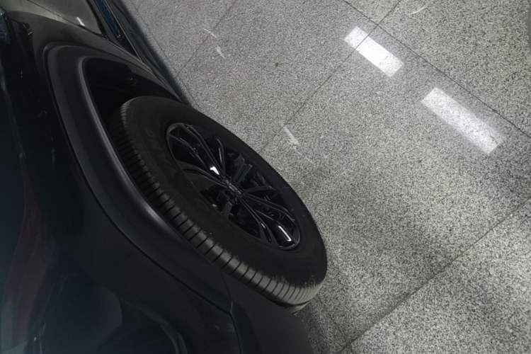 Used Haval Raptor New Energy 2024 Hi4 145 Cross-Over Edition Left Front Wheel Hub