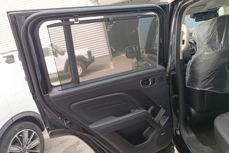 Used Haval Raptor New Energy 2024 Hi4 145 Cross-Over Edition Left Rear Door Interior