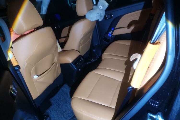 Used Haval Raptor New Energy 2024 Hi4 102 Pro Left Rear Seat