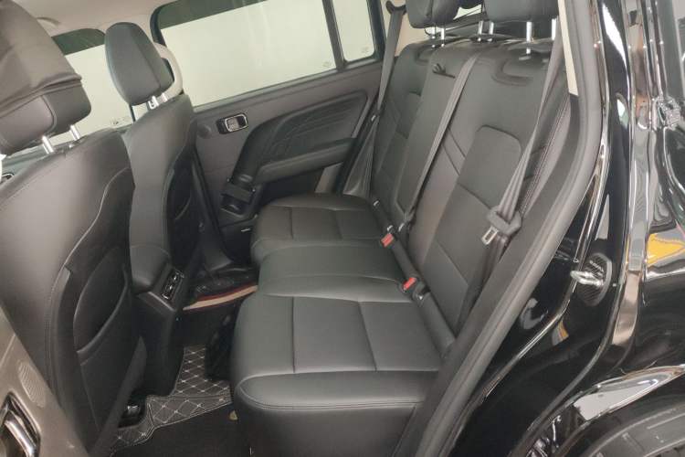 Used Haval Raptor New Energy 2024 Hi4 102 Pro Left Rear Seat