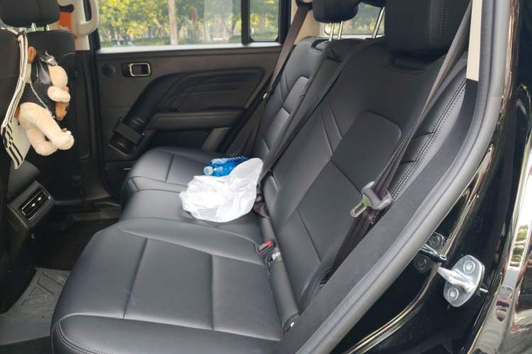 Used Haval Raptor New Energy 2024 Hi4 102 Pro Left Rear Seat