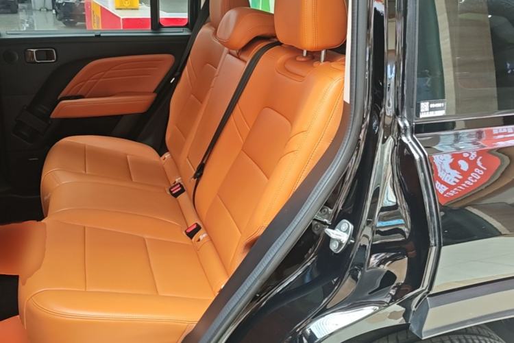 Used Haval Raptor New Energy 2024 Hi4 145 Cross-Over Edition Left Rear Seat