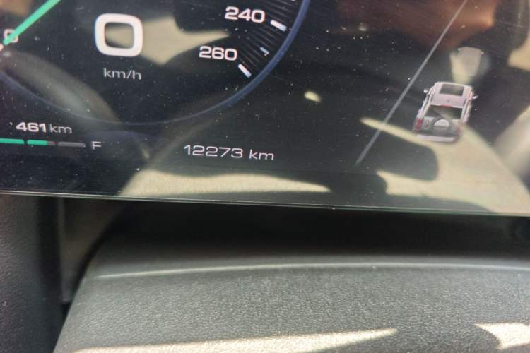 Used Haval Raptor New Energy 2024 Hi4 102 Pro Odometer Close Up