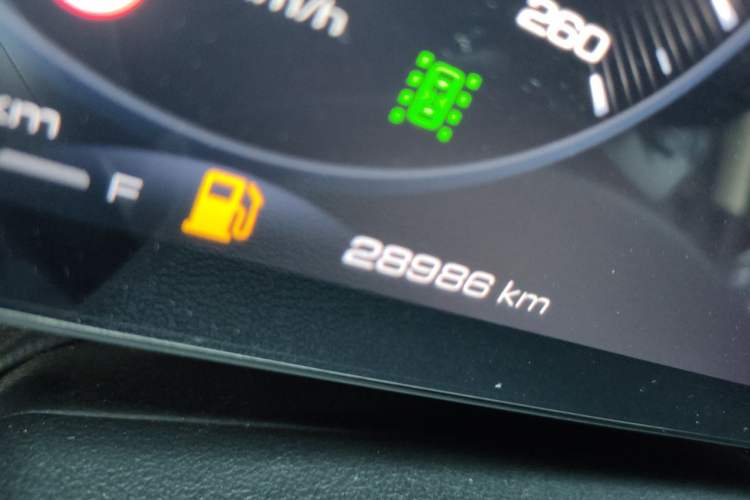 Used Haval Raptor New Energy 2024 Hi4 145 Cross-Over Edition Odometer Close Up