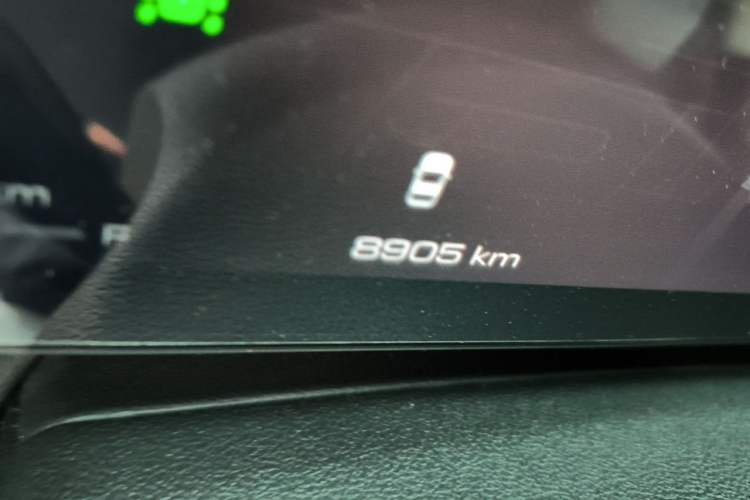 Used Haval Raptor New Energy 2024 Hi4 102 Pro Odometer Close Up