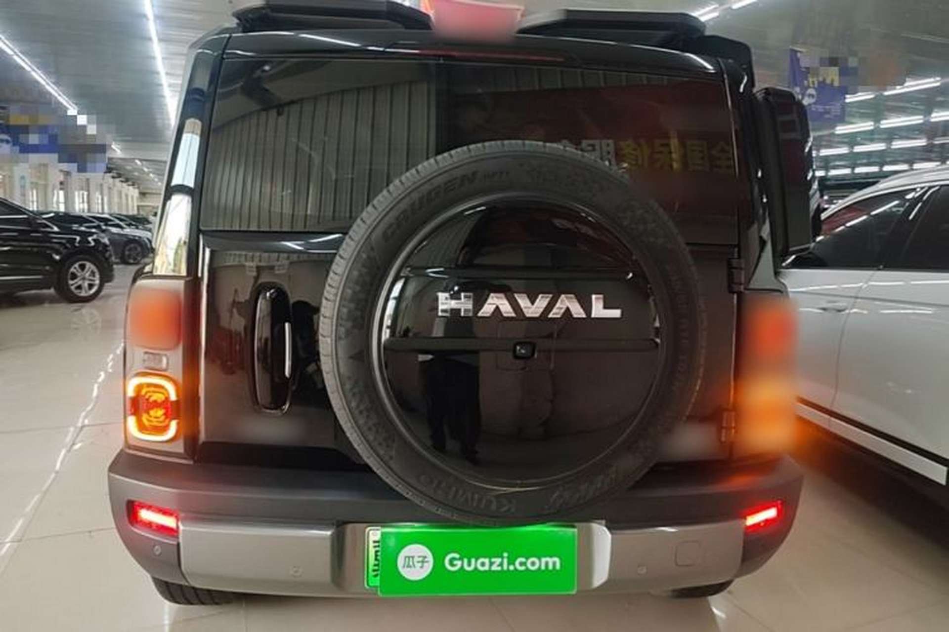 Used Haval Raptor New Energy 2024 Hi4 145 Pro Rear
