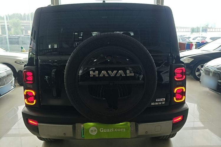 Used Haval Raptor New Energy 2024 Hi4 102 Pro Rear