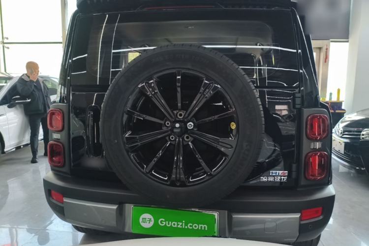 Used Haval Raptor New Energy 2024 Hi4 145 Cross-Over Edition Rear