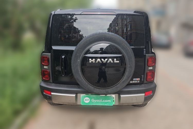 Used Haval Raptor New Energy 2024 Hi4 102 Pro Rear