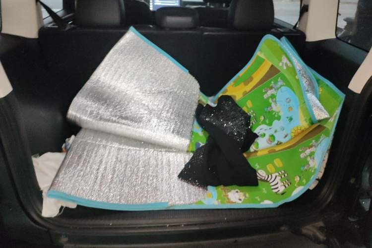 Used Haval Raptor New Energy 2024 Hi4 145 Pro Trunk