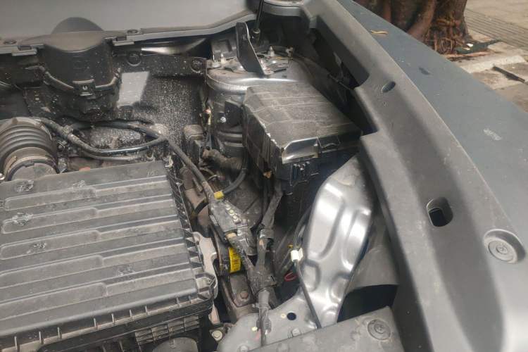 Used Haval Raptor New Energy 2024 Hi4 145 Pro Engine Bay Left