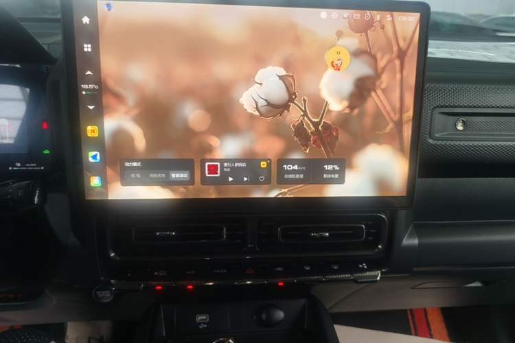Used Haval Raptor New Energy 2024 Hi4 145 Pro Audio And AC Panel
