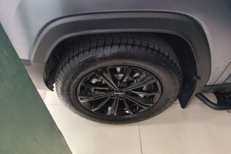 Used Haval Raptor New Energy 2024 Hi4 145 Pro Exterior 4