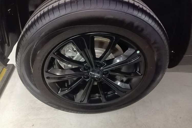 Used Haval Raptor New Energy 2024 Hi4 102 Pro Exterior 5