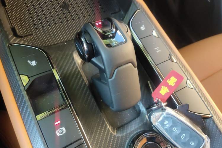 Used Haval Raptor New Energy 2024 Hi4 145 Cross-Over Edition Gear Lever