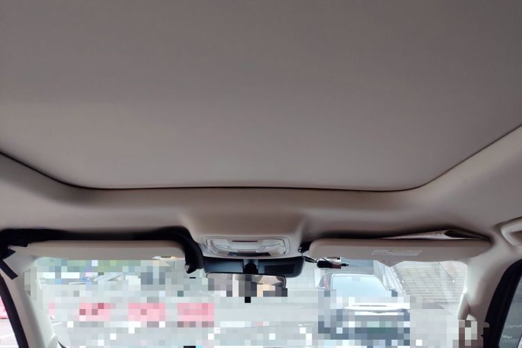 Used Haval Raptor New Energy 2024 Hi4 102 Pro Headliner