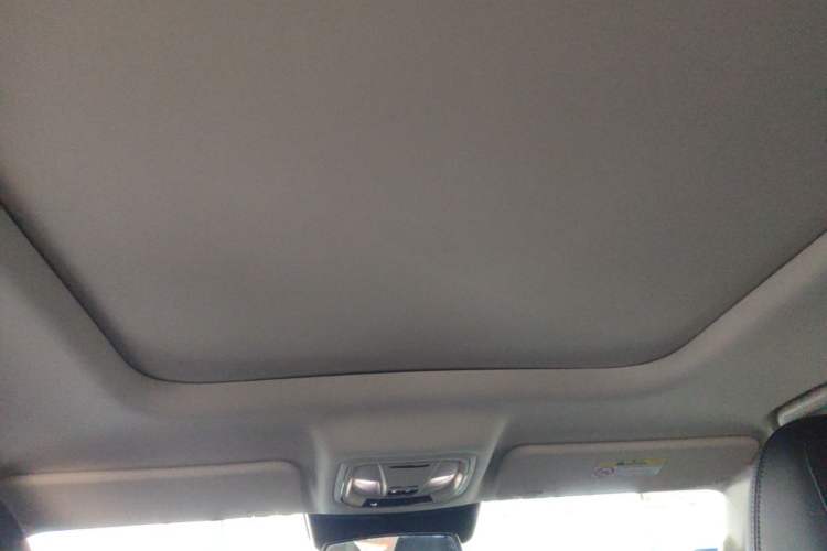 Used Haval Raptor New Energy 2024 Hi4 145 Cross-Over Edition Headliner