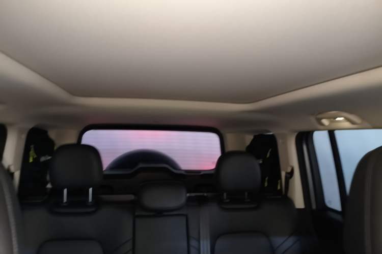 Used Haval Raptor New Energy 2024 Hi4 145 Pro Headliner