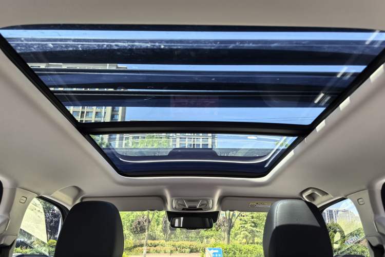 Used Haval Raptor New Energy 2024 Hi4 145 Cross-Over Edition Headliner