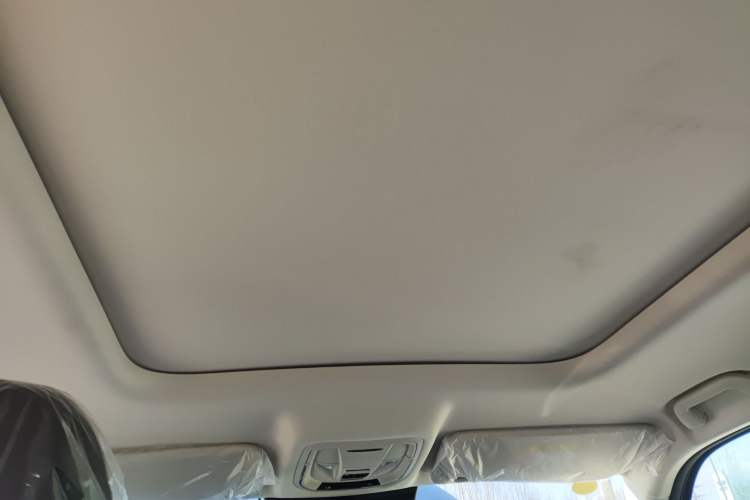 Used Haval Raptor New Energy 2024 Hi4 102 Pro Headliner