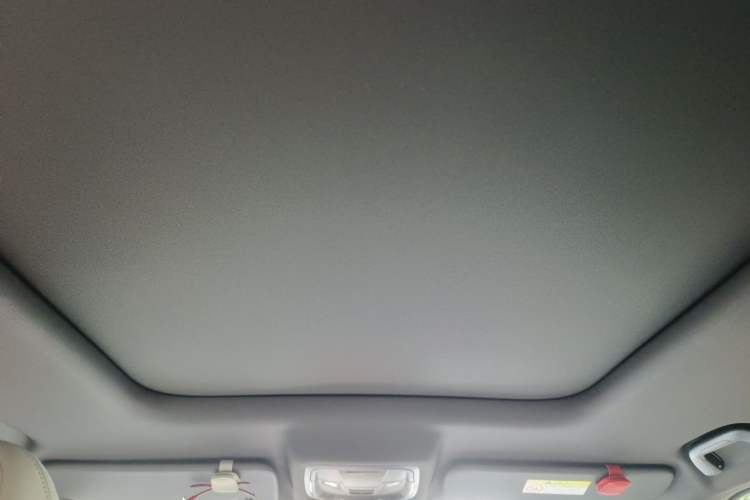 Used Haval Raptor New Energy 2024 Hi4 145 Cross-Over Edition Headliner