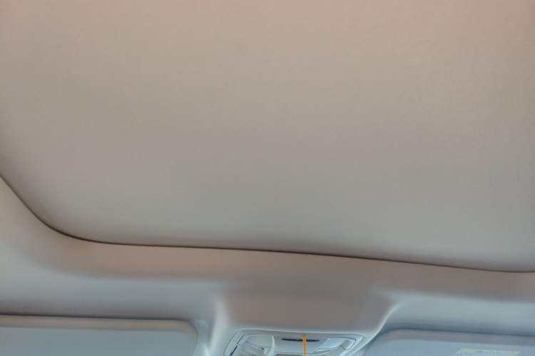 Used Haval Raptor New Energy 2024 Hi4 145 Cross-Over Edition Headliner
