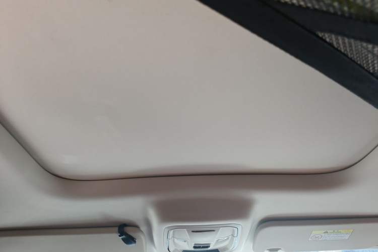 Used Haval Raptor New Energy 2024 Hi4 145 Pro Headliner