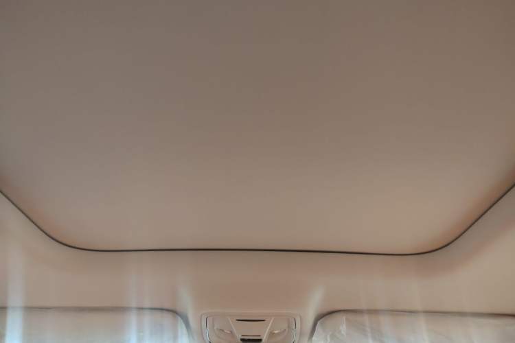 Used Haval Raptor New Energy 2024 Hi4 145 Cross-Over Edition Headliner