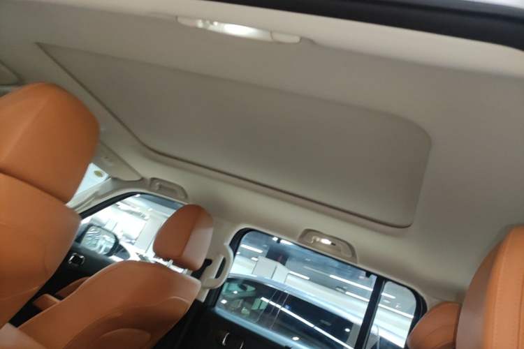 Used Haval Raptor New Energy 2024 Hi4 145 Cross-Over Edition Headliner