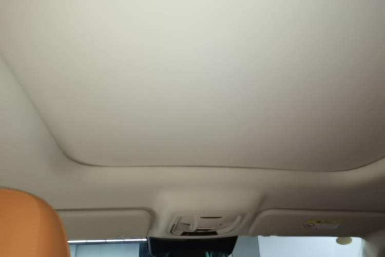 Used Haval Raptor New Energy 2024 Hi4 145 Cross-Over Edition Headliner