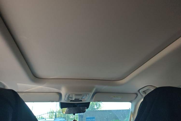 Used Haval Raptor New Energy 2024 Hi4 145 Pro Headliner
