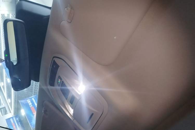 Used Haval Raptor New Energy 2024 Hi4 145 Cross-Over Edition Headliner