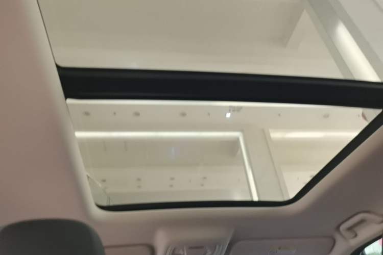 Used Haval Raptor New Energy 2024 Hi4 145 Cross-Over Edition Headliner
