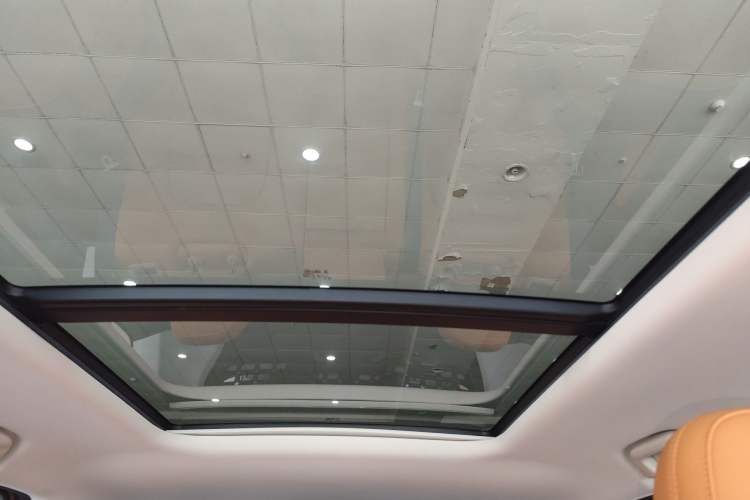 Used Haval Raptor New Energy 2024 Hi4 145 Pro Headliner