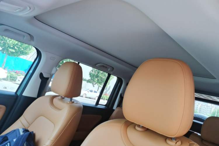 Used Haval Raptor New Energy 2024 Hi4 145 Cross-Over Edition Headliner