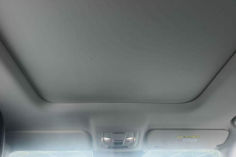 Used Haval Raptor New Energy 2024 Hi4 145 Pro Headliner