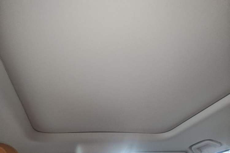 Used Haval Raptor New Energy 2024 Hi4 145 Cross-Over Edition Headliner