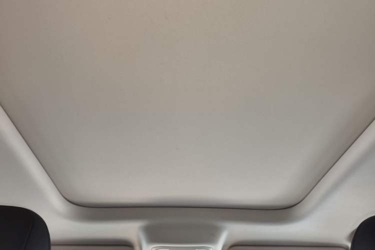 Used Haval Raptor New Energy 2024 Hi4 145 Cross-Over Edition Headliner