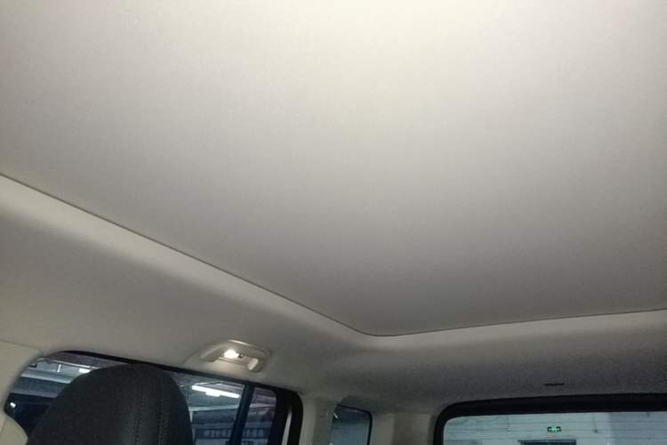 Used Haval Raptor New Energy 2024 Hi4 102 Pro Headliner