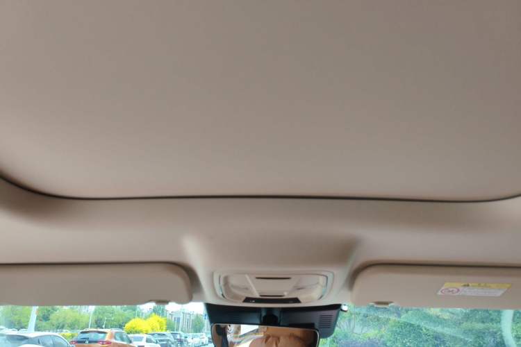 Used Haval Raptor New Energy 2024 Hi4 102 Pro Headliner