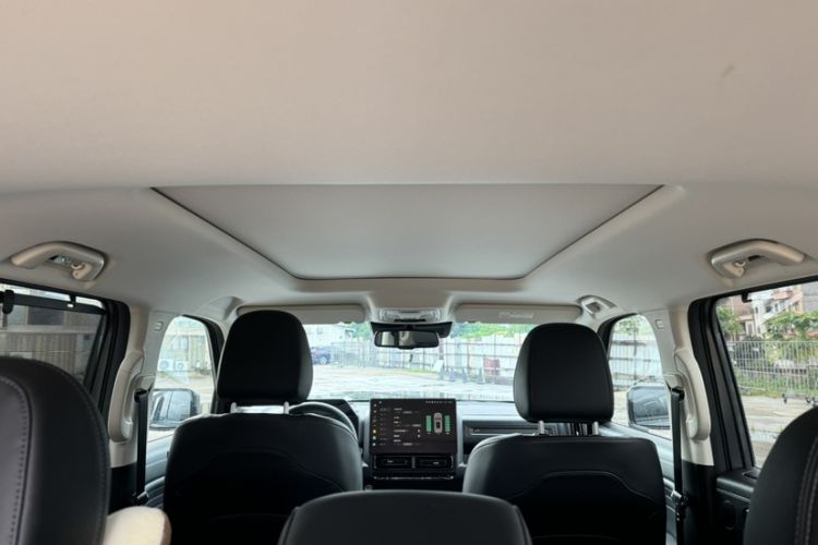 Used Haval Raptor New Energy 2024 Hi4 145 Cross-Over Edition Headliner