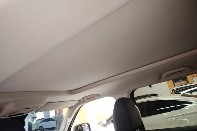 Used Haval Raptor New Energy 2024 Hi4 145 Cross-Over Edition Headliner