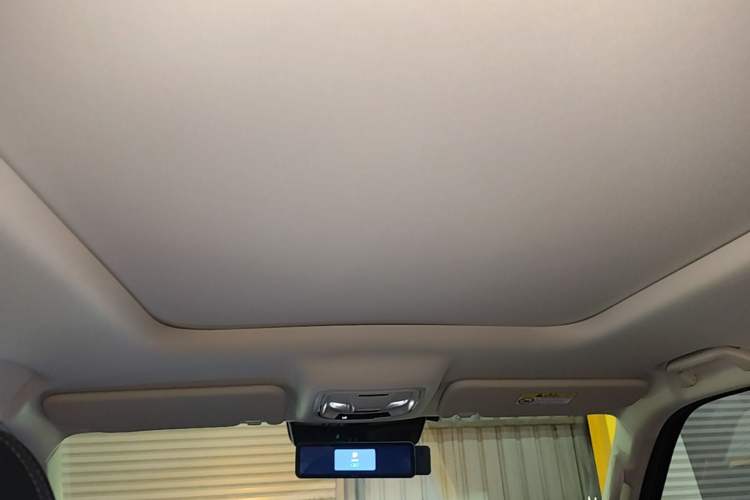 Used Haval Raptor New Energy 2024 Hi4 145 Cross-Over Edition Headliner