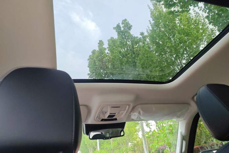 Used Haval Raptor New Energy 2024 Hi4 145 Cross-Over Edition Headliner