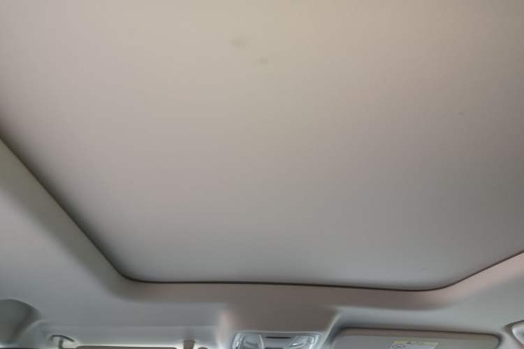 Used Haval Raptor New Energy 2024 Hi4 102 Pro Headliner